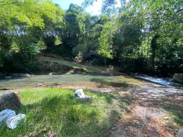 VENDO HACIENDA CON PRODUCCION DE PALMITO - PALMA - POTREROS