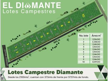 EXCELENTES LOTES PARA LA CONSTRUCCIÓN DE SU CASA CAMPESTRE
