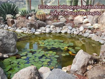 Penthouse con Jacuzzi, amueblado y equipado, venta, La Lejona, San Miguel de Allende.