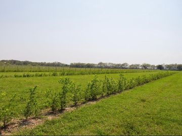 LOTES PARA LA CONSTRUCCIÓN DE SU CASA CAMPESTRE A 15 MIN DE GIRARDOT - PALERMO