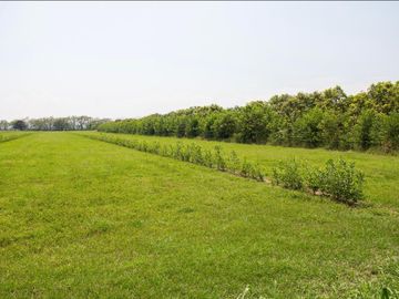 LOTES PARA LA CONSTRUCCIÓN DE SU CASA CAMPESTRE A 15 MIN DE GIRARDOT - PALERMO