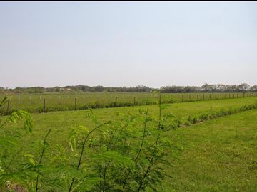 LOTES PARA LA CONSTRUCCIÓN DE SU CASA CAMPESTRE A 15 MIN DE GIRARDOT - PALERMO