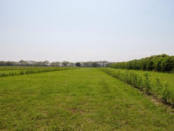 LOTES PARA LA CONSTRUCCIÓN DE SU CASA CAMPESTRE A 15 MIN DE GIRARDOT - PALERMO