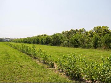 LOTES PARA LA CONSTRUCCIÓN DE SU CASA CAMPESTRE A 15 MIN DE GIRARDOT - PALERMO