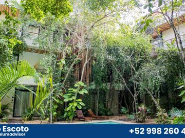 Departamento de 1 recámara en Tulum con historial de rentas