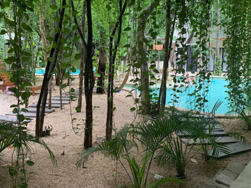 Departamento de 1 recámara en Tulum con historial de rentas