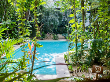 Departamento de 1 recámara en Tulum con historial de rentas