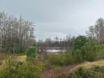 OPORTUNIDAD Se vende casa con parcela en sector  cayumapu, 25km de Valdivia ( salida norte por la vaquita)