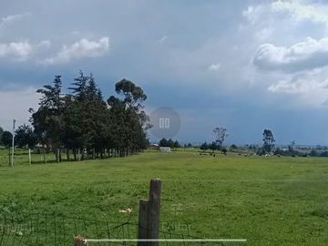 SE VENDE TERRENO DE 80 HECTAREAS IXTLAHUACA EDO. DE MÉXICO