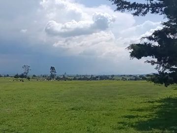 SE VENDE TERRENO DE 80 HECTAREAS IXTLAHUACA EDO. DE MÉXICO
