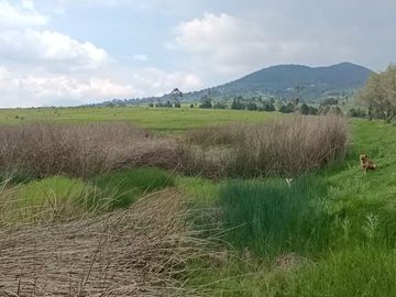 SE VENDE TERRENO DE 80 HECTAREAS IXTLAHUACA EDO. DE MÉXICO