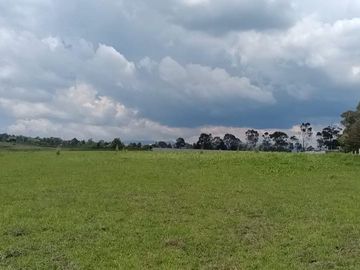 SE VENDE TERRENO DE 80 HECTAREAS IXTLAHUACA EDO. DE MÉXICO