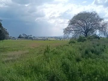 SE VENDE TERRENO DE 80 HECTAREAS IXTLAHUACA EDO. DE MÉXICO