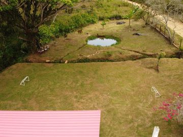 VENTA FINCA BORRERO AYERBE PISCINA GANGA