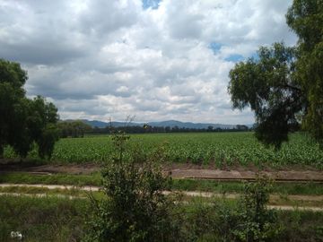 RANCHO AGRICOLA CON 139 HECTAREAS CON 5 POZOS, CONCESION AGUA, CASAS, EN SAN JOSE ITURBIDE, GUANAJUATO