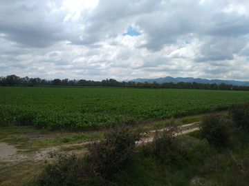RANCHO AGRICOLA CON 139 HECTAREAS CON 5 POZOS, CONCESION AGUA, CASAS, EN SAN JOSE ITURBIDE, GUANAJUATO