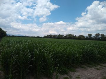 RANCHO AGRICOLA CON 139 HECTAREAS CON 5 POZOS, CONCESION AGUA, CASAS, EN SAN JOSE ITURBIDE, GUANAJUATO
