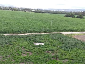 RANCHO AGRICOLA CON 139 HECTAREAS CON 5 POZOS, CONCESION AGUA, CASAS, EN SAN JOSE ITURBIDE, GUANAJUATO