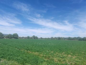 RANCHO AGRICOLA CON 139 HECTAREAS CON 5 POZOS, CONCESION AGUA, CASAS, EN SAN JOSE ITURBIDE, GUANAJUATO