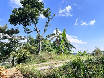 Tanah Idaman 5933m² View Langsung Gunung Lawu