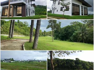 West Highlands Subdivision Pre-selling House | Platinum
