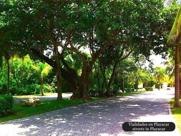 Penthouse con alberca, gym, venta en Playacar, Playa del Carmen.