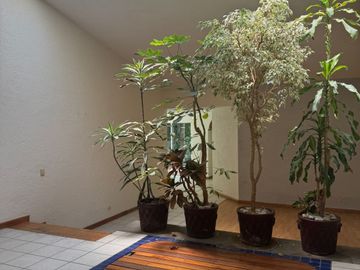 CASA EN VENTA DE UN PISO EN VENTA EX HACIENDA ACTIPAN Cholula Puebla