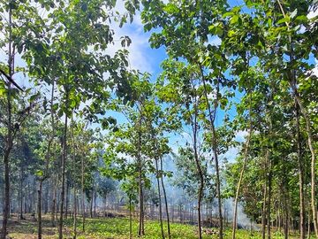 Fincas Tituladas Desde 2,500M