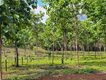 Fincas Tituladas Desde 2,500M
