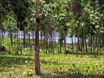 Fincas Tituladas Desde 2,500M