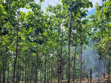 Fincas Tituladas Desde 2,500M