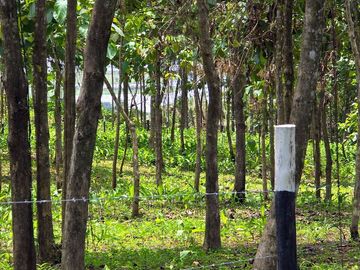 Fincas Tituladas Desde 2,500M