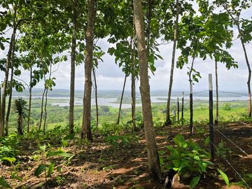 Fincas Tituladas Desde 2,500M