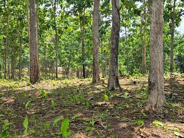 Finca01 Titulada de 4,925m2 Financiada 100% SIN INTERES Desde$4,30M2