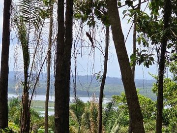 Finca01 Titulada de 4,925m2 Financiada 100% SIN INTERES Desde$4,30M2