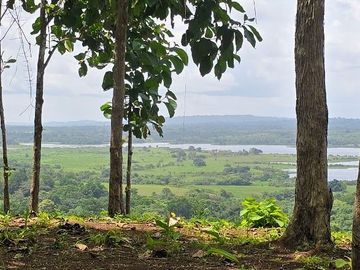 Finca01 Titulada de 4,925m2 Financiada 100% SIN INTERES Desde$4,30M2