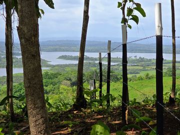 Finca01 Titulada de 4,925m2 Financiada 100% SIN INTERES Desde$4,30M2