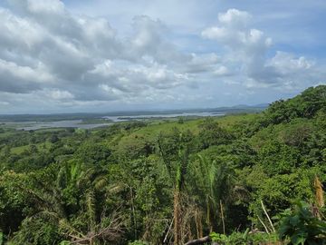 Finca01 Titulada de 4,925m2 Financiada 100% SIN INTERES Desde$4,30M2