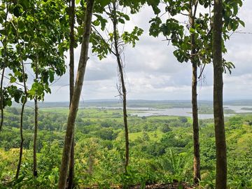 Finca01 Titulada de 4,925m2 Financiada 100% SIN INTERES Desde$4,30M2