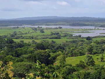 Finca01 Titulada de 4,925m2 Financiada 100% SIN INTERES Desde$4,30M2