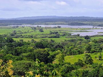 Finca01 Titulada de 4,925m2 Financiada 100% SIN INTERES Desde$4,30M2