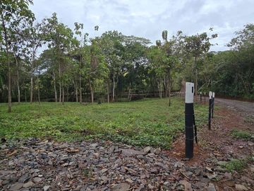 Finca01 Titulada de 4,925m2 Financiada 100% SIN INTERES Desde$4,30M2