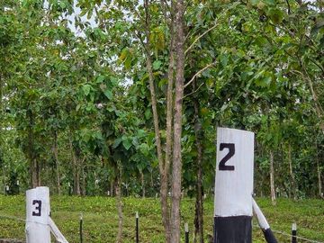 Finca01 Titulada de 4,925m2 Financiada 100% SIN INTERES Desde$4,30M2
