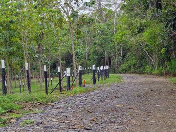 Finca01 Titulada de 4,925m2 Financiada 100% SIN INTERES Desde$4,30M2