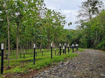 Finca01 Titulada de 4,925m2 Financiada 100% SIN INTERES Desde$4,30M2