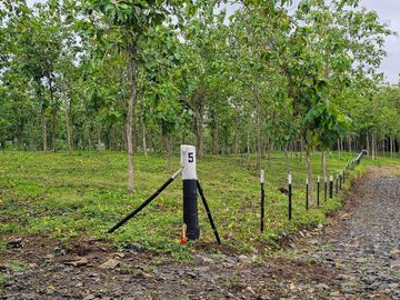 Finca01 Titulada de 4,925m2 Financiada 100% SIN INTERES Desde$4,30M2