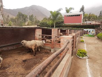 OPORTUNIDAD DE CONSEGUIR TU LOTE CAMPESTRE DENTRO DE UN CONDOMINIO CONSOLIDADO EN CALANGO C. C.