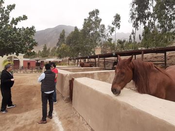 OPORTUNIDAD DE CONSEGUIR TU LOTE CAMPESTRE DENTRO DE UN CONDOMINIO CONSOLIDADO EN CALANGO C. C.