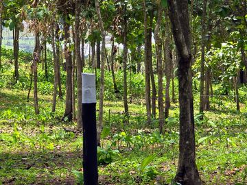 Finca18 Titulada de 20,938M2 FINANCIADA Cuota  Quincenal $500 SIN INTERES.