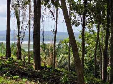 Finca18 Titulada de 20,938M2 FINANCIADA Cuota  Quincenal $500 SIN INTERES.